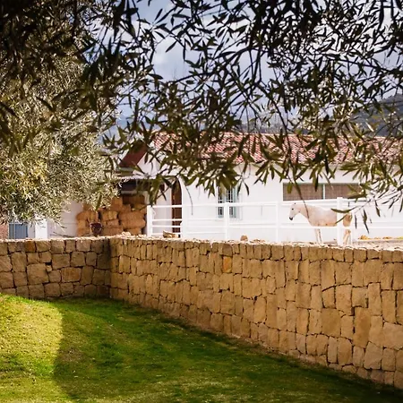 Villa Ronda Mountain Resort Ronda